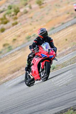 media/Apr-26-2025-2WTD (Sat) [[797c348bd3]]/C Group/240pm/